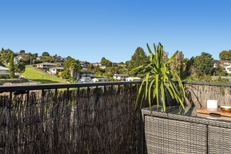 Photo of property in 22d Sheppard Street, Gate Pa, Tauranga, 3112