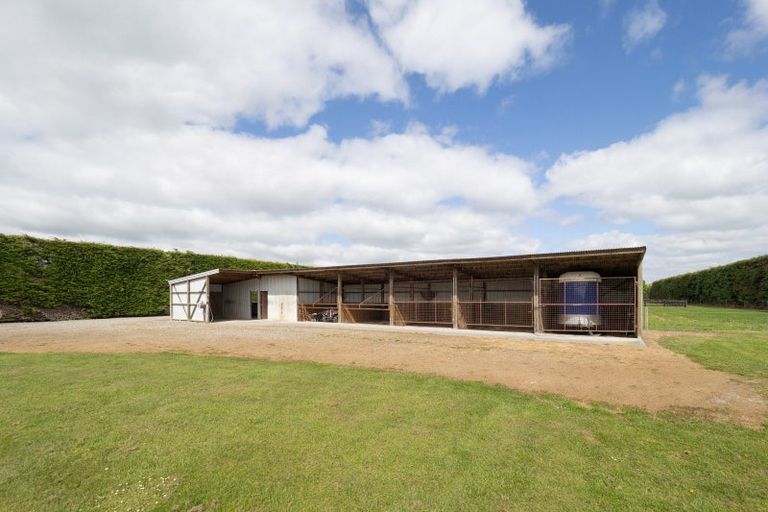 Photo of property in 569 Wakanui Road, Elgin, Ashburton, 7777