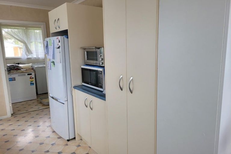 Photo of property in 20 Harold Crescent, Fordlands, Rotorua, 3015