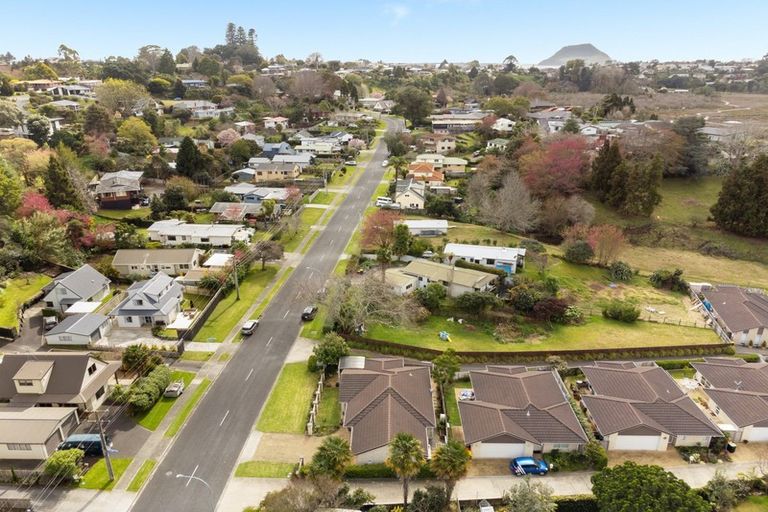 Photo of property in 1 Darraghs Lane, Brookfield, Tauranga, 3110