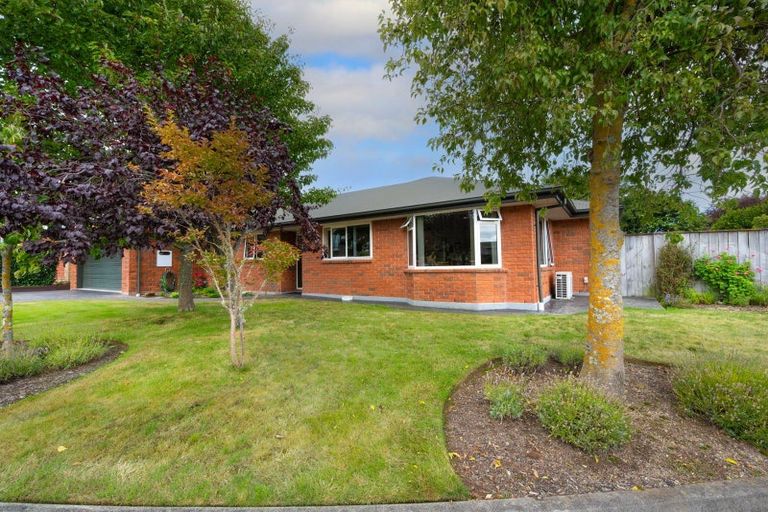 Photo of property in 3 Astelia Place, Richmond, 7020