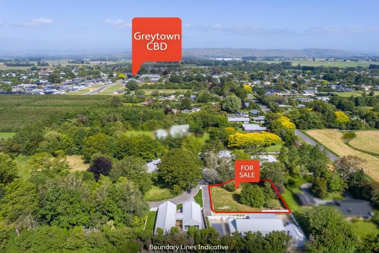 Photo of property in 3 Woodlands Way, Greytown, 5712