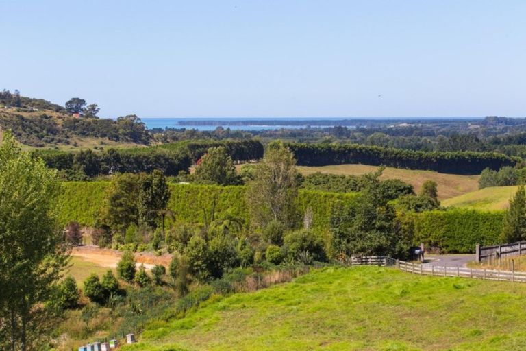 Photo of property in 225b Woodland Road, Tahawai, Katikati, 3170