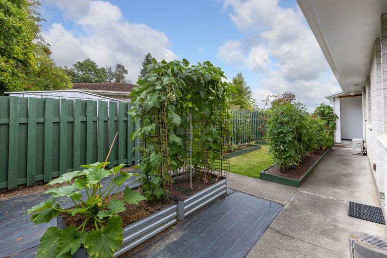 Photo of property in 4 Chamberlain Road, Masterton, 5810