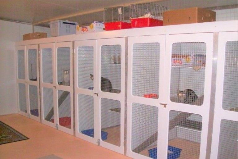 Photo of property in 259 Stafford Loop Road, Awatuna, Hokitika, 7882