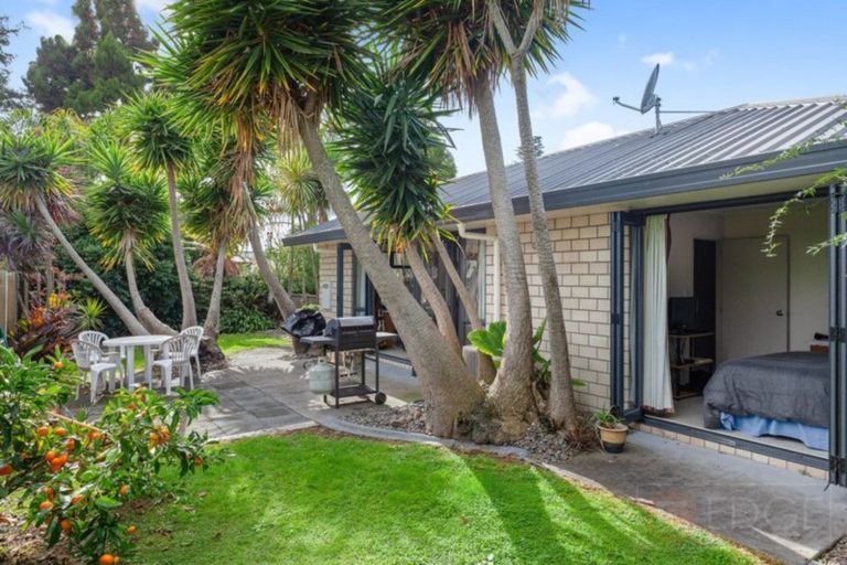 Photo of property in 55 Bridge Street, Whakatane, 3120