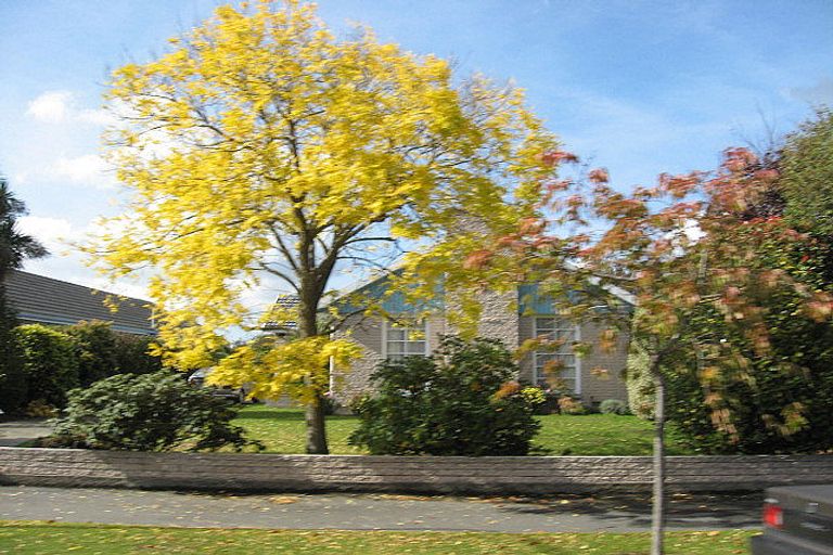 Photo of property in 38 Carruthers Street, Ilam, Christchurch, 8041