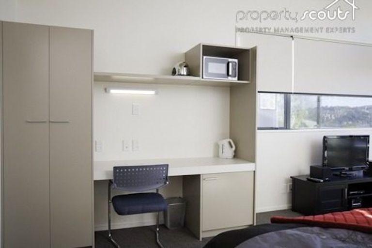 Photo of property in 1/120 London Street, Dunedin Central, Dunedin, 9016