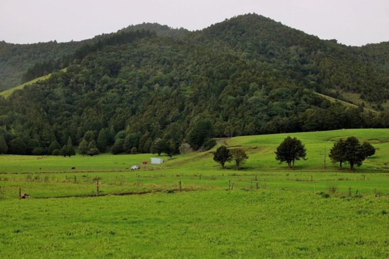 Photo of property in 1008 Tangowahine Valley Road, Tangowahine, Dargaville, 0372