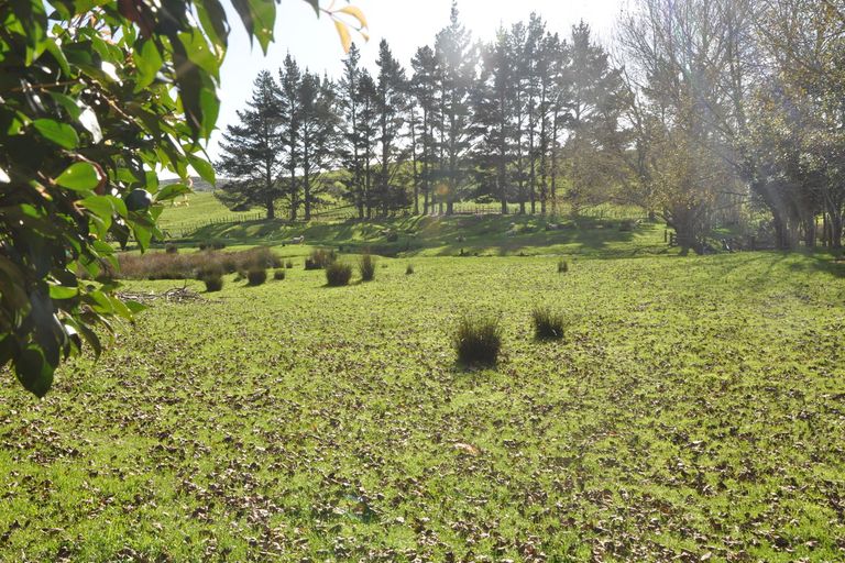 Photo of property in 279 Whangaripo Valley Road, Wellsford, 0972