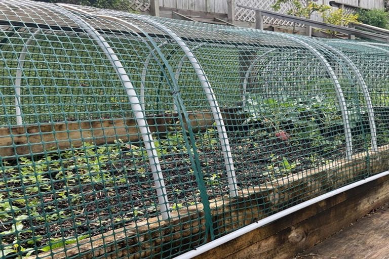 Photo of property in 17 Ridgedale Road, Silverdale, 0932