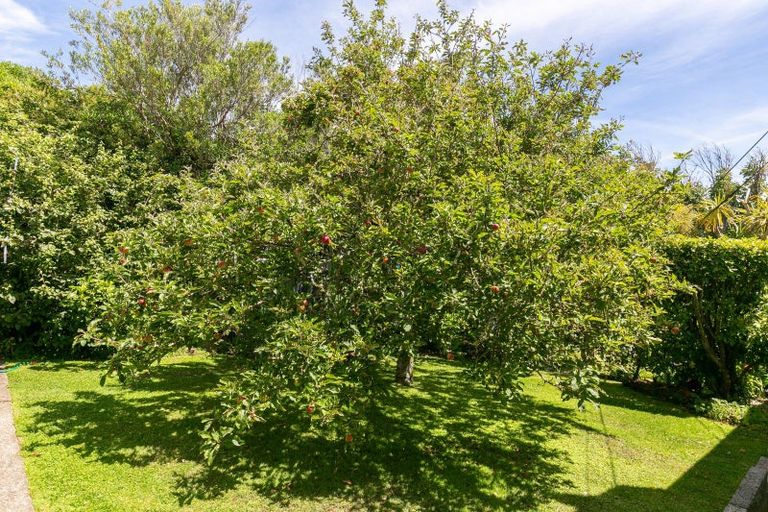 Photo of property in 66a Otaki Street, Miramar, Wellington, 6022