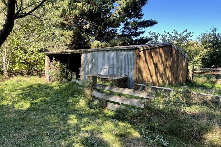 Photo of property in 37 Knoll Street, Milton, 9292