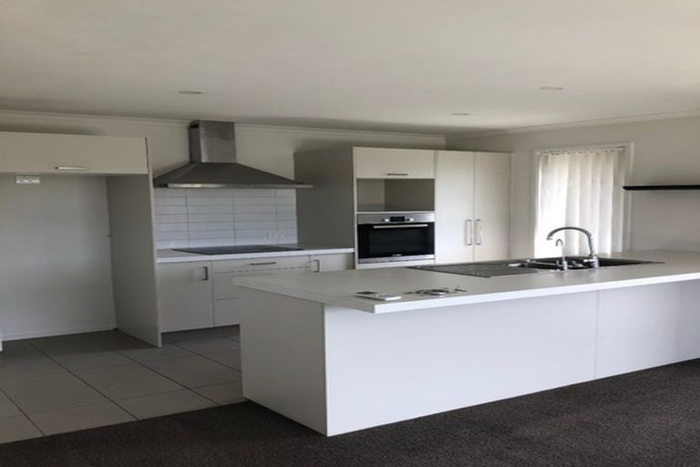 Photo of property in 133 Condor Drive, Pyes Pa, Tauranga, 3112