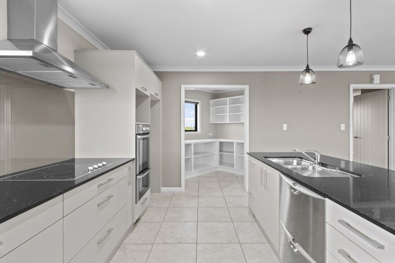 Photo of property in 58 Ridge Park Drive, Horotiu, Hamilton, 3288