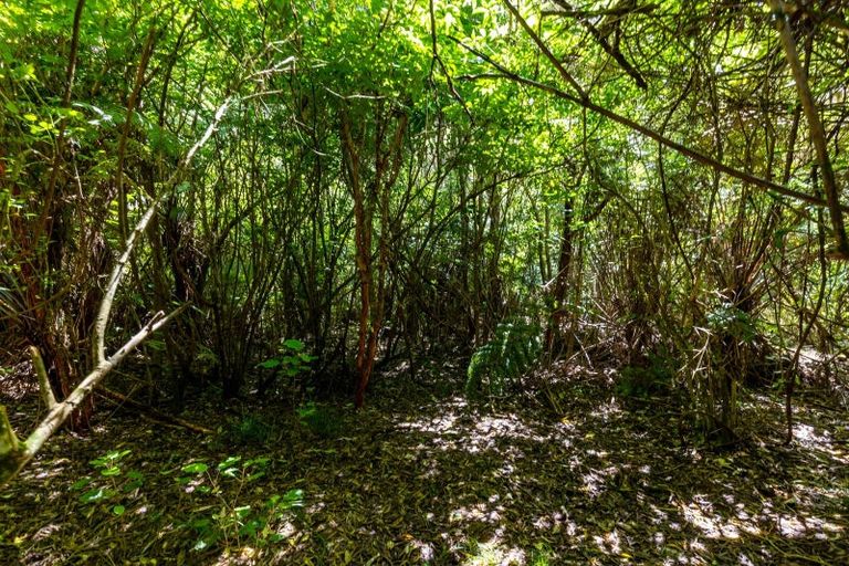 Photo of property in 34 Tirimoana Terrace, Anakiwa, Linkwater, 7281