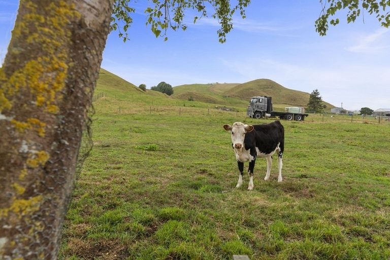 Photo of property in 459 Whirinaki Valley Road, Ngakuru, Rotorua, 3077