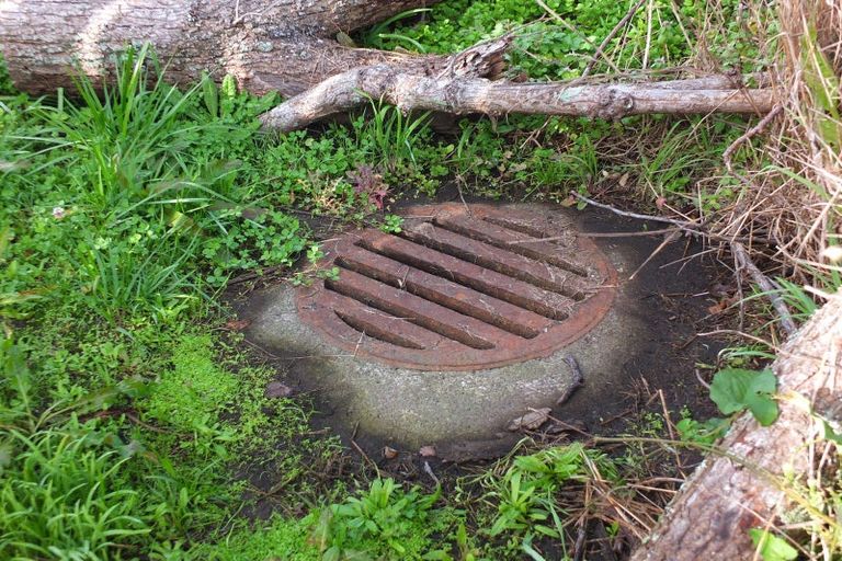 Photo of property in 13b Spring Street, Foxton, 4814