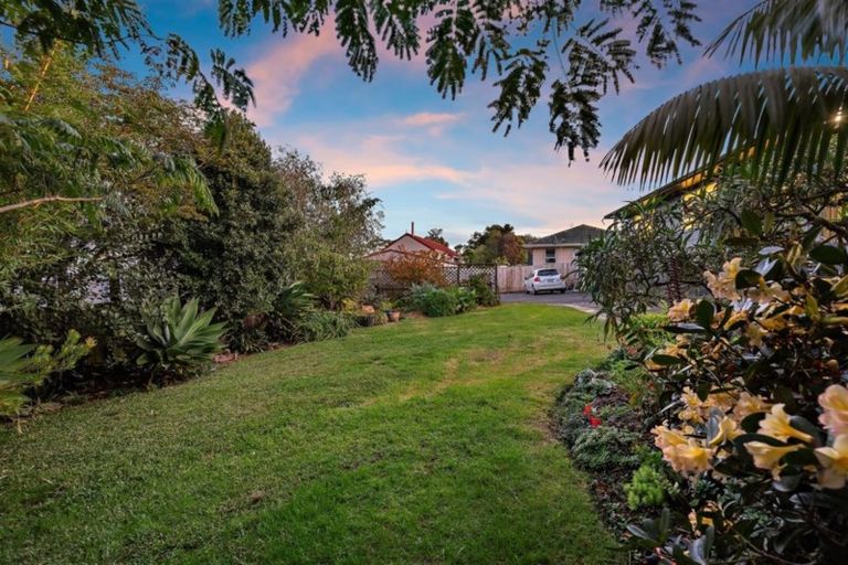 Photo of property in 42a Forest Hill Road, Henderson, Auckland, 0612