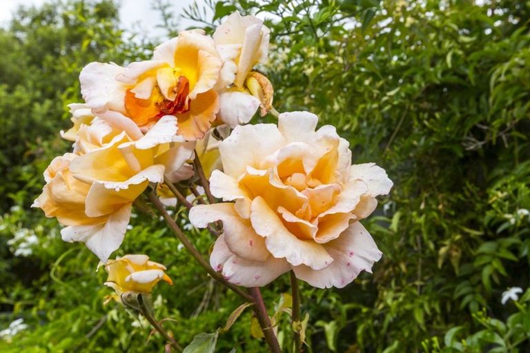 Photo of property in 94 Riverstone Drive, Riverstone Terraces, Upper Hutt, 5018