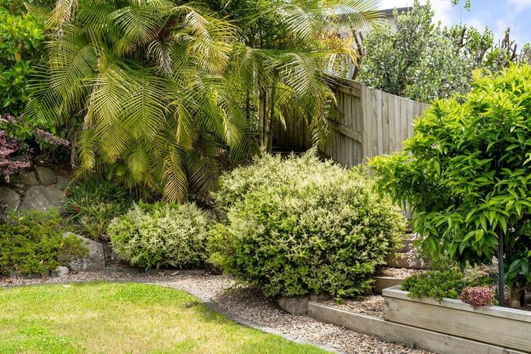 Photo of property in 218 Carmichael Road, Bethlehem, Tauranga, 3110