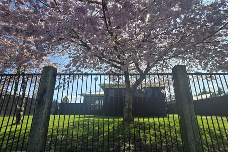 Photo of property in 6 Lingfield Street, Tokoroa, 3420