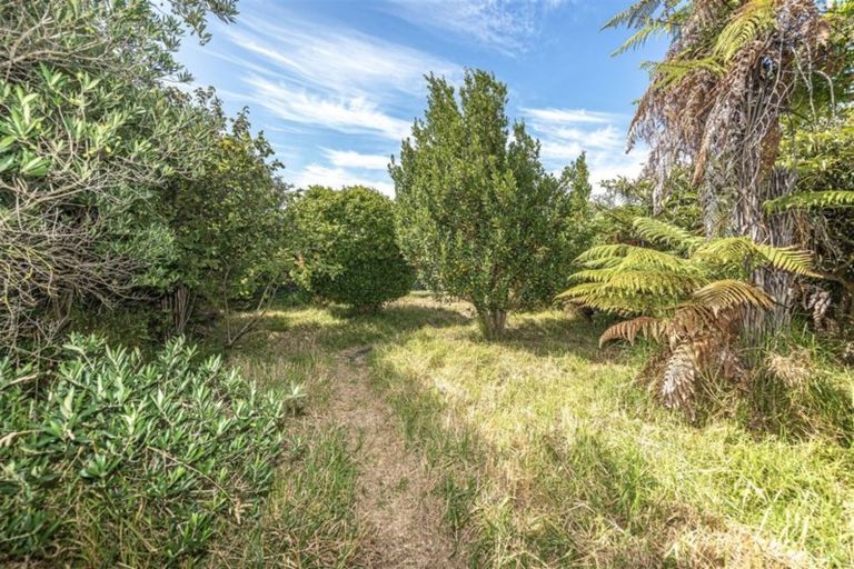 Photo of property in 256 Heads Road, Gonville, Whanganui, 4501