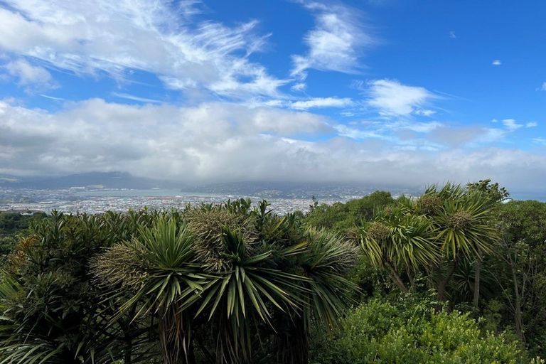 Photo of property in 54b Earls Road, Saint Clair, Dunedin, 9012