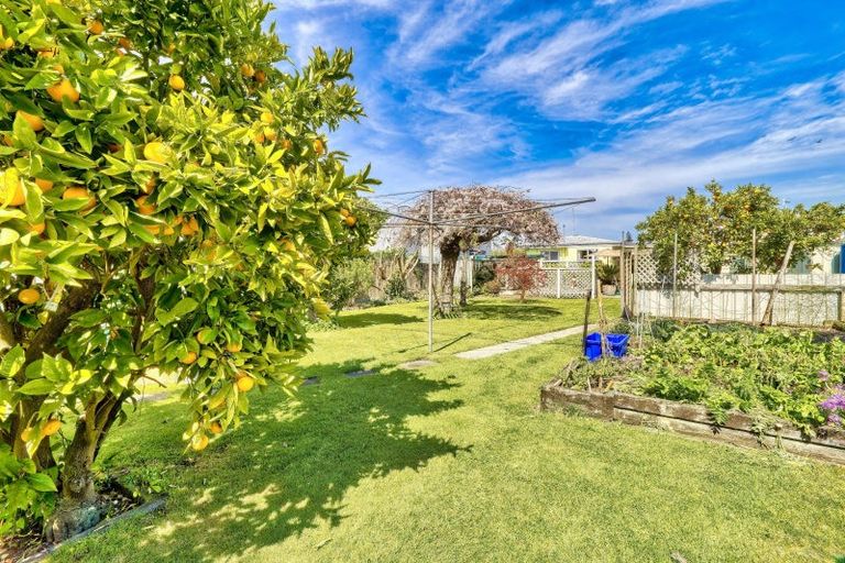 Photo of property in 918 Dufferin Street, Akina, Hastings, 4122