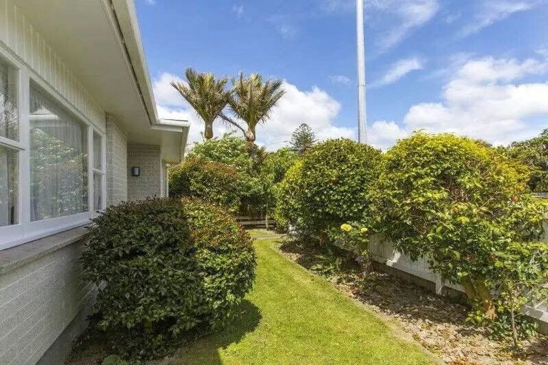 Photo of property in 51 Laings Road, Hutt Central, Lower Hutt, 5010