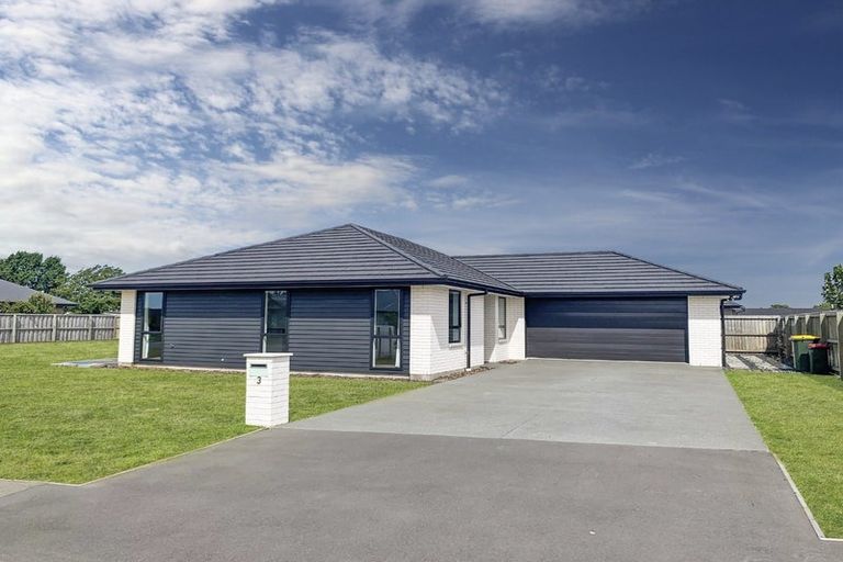 Photo of property in 3 Roxburgh Place, Tinwald, Ashburton, 7700