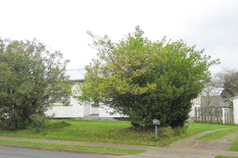Photo of property in 29 Bristol Street, Levin, 5510