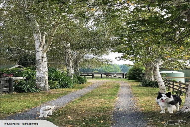 Photo of property in 85 Tarr Road, Ohaupo, 3881