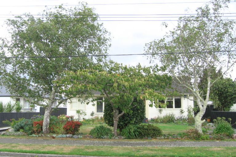 Photo of property in 9 Mccurdy Street, Elderslea, Upper Hutt, 5018
