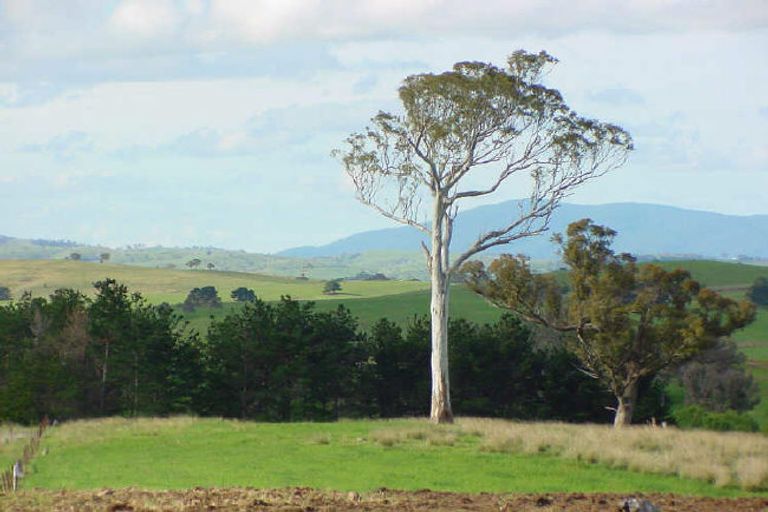 Photo of property in 339 Stoney Creek Road, Kelvin Grove, Palmerston North, 4470