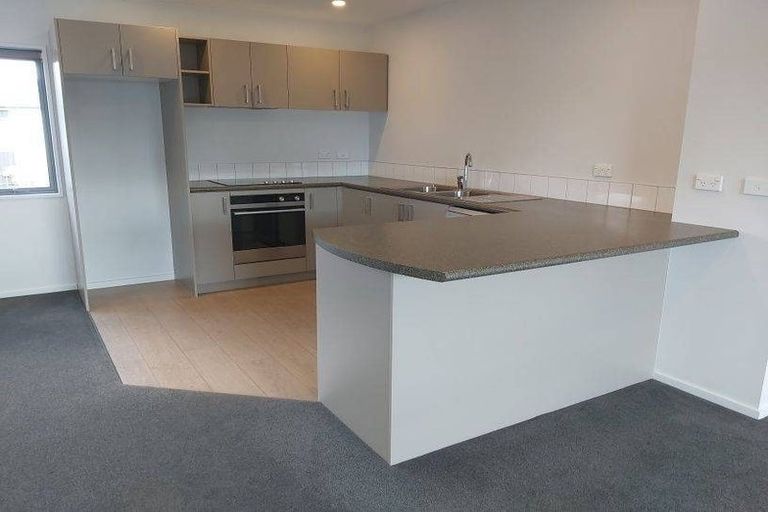 Photo of property in 461 Barbadoes Street, Edgeware, Christchurch, 8013