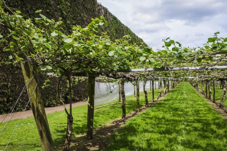 Photo of property in 76 Pukakura Road, Katikati, 3178