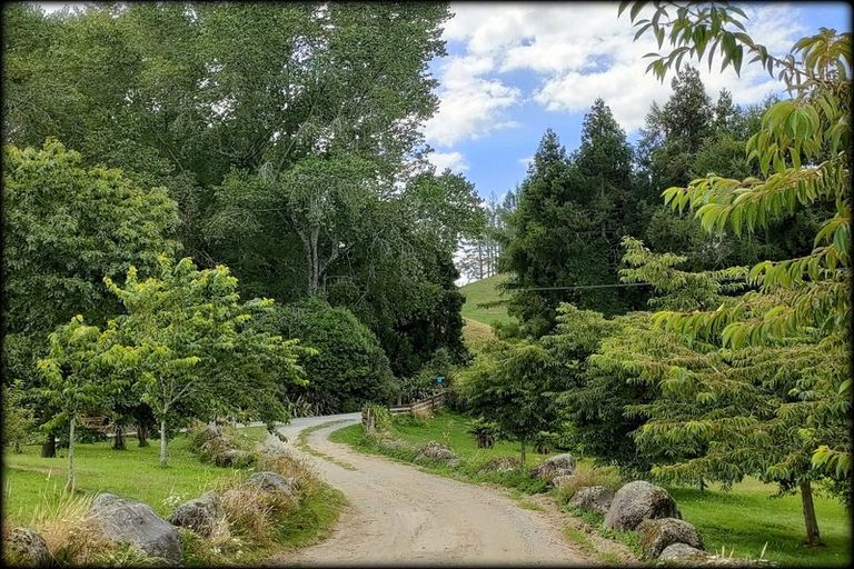 Photo of property in 333 Palmer Mill Road, Wairakei, Taupo, 3384