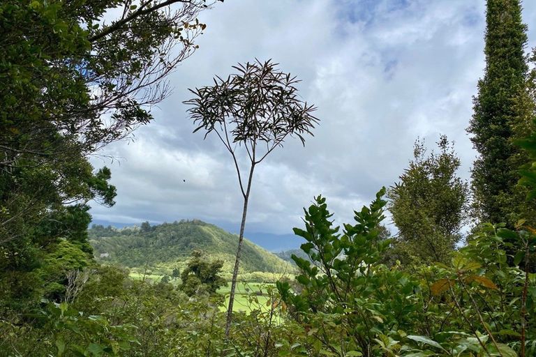 Photo of property in 74 Wangapeka Road, Little Wanganui, Karamea, 7893