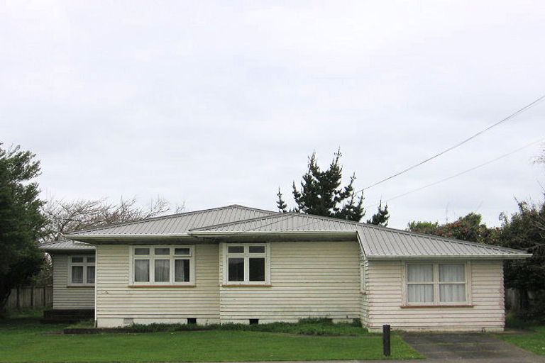 Photo of property in 12 Carlisle Street, Levin, 5510