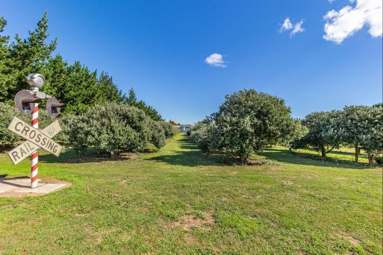 Photo of property in 146 Lindsay Road, Levin, 5510