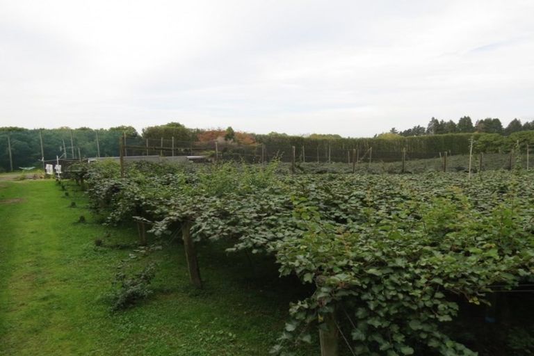 Photo of property in 28 Lindemann Road, Katikati, 3170