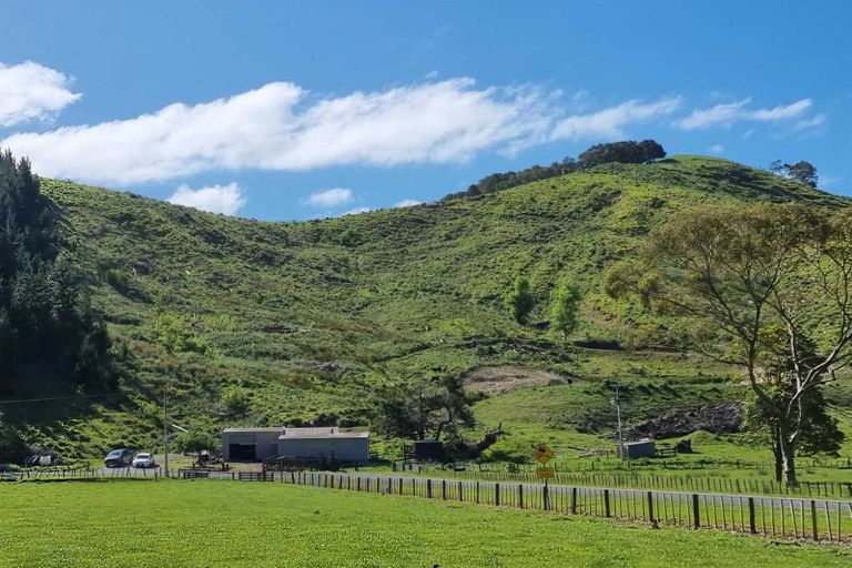 Photo of property in 162 Lake Road, Waituhi, Gisborne, 4072