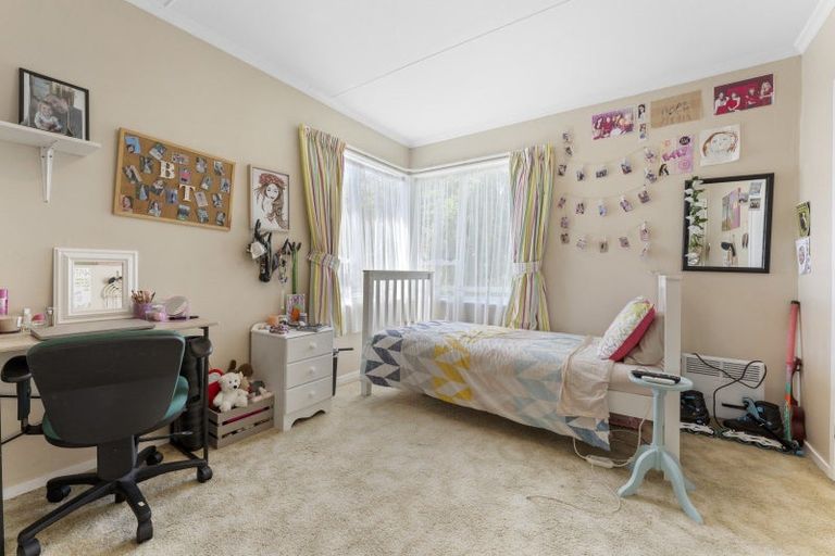 Photo of property in 26 Avenue North Road, Levin, 5510