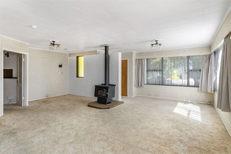 Photo of property in 63 Macarthur Street, Levin, 5510