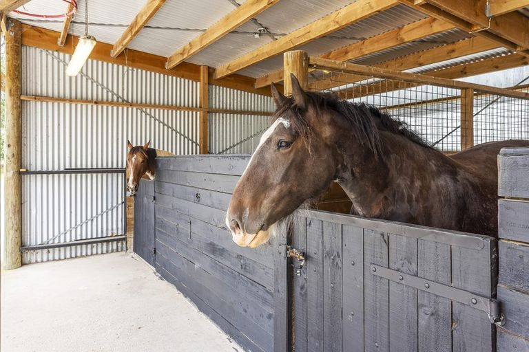 Photo of property in 225 Te Horo Hautere Cross Road, Hautere, Otaki, 5582