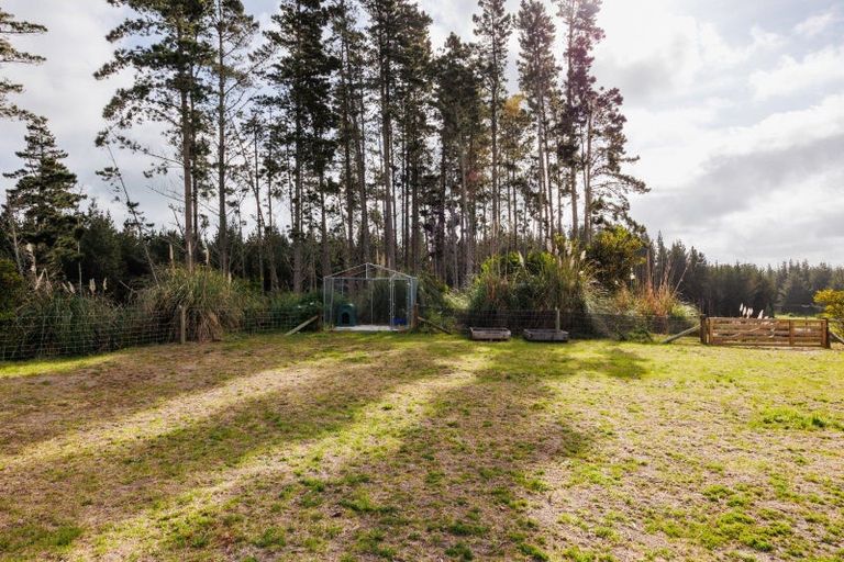 Photo of property in 545 Himatangi Beach Road, Himatangi Beach, Foxton, 4891