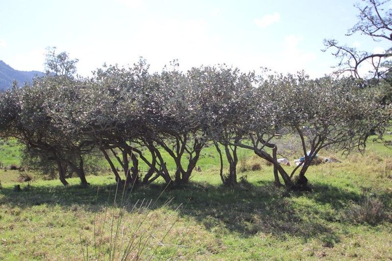 Photo of property in 74b Diggers Valley Road, Herekino, Kaitaia, 0481