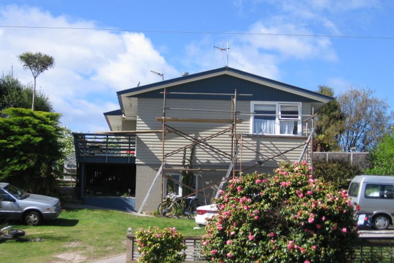 Photo of property in 60 Hinemoa Avenue, Taupo, 3330