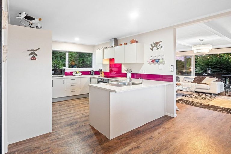 Photo of property in 313 Youngson Road, Whakamarama, Tauranga, 3179